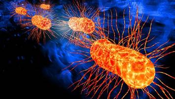 Gesundheitsgefahr im Meer: Badeverbot an beliebtem Teneriffa-Strand