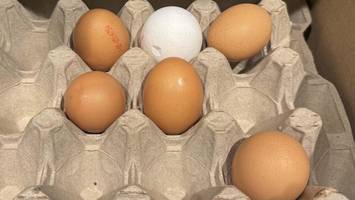 „Angespannte Situation“ – Supermarktkette im Norden beschränkt Verkauf von Eiern