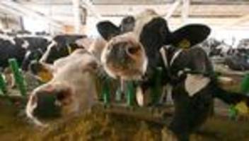 Landwirtschaft: Saisonkräfte aus dem Ausland bleiben für Ernte unentbehrlich
