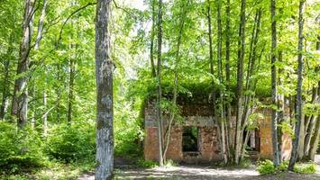 Rätsel um die Toten in Hitlers „Wolfsschanze“: Archäologen rollen Fall neu auf