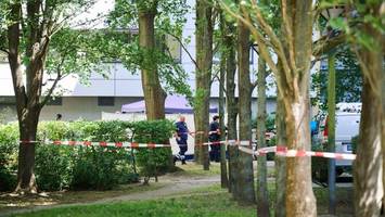 totes baby in lichterfelde: tatverdächtige mutter wurde gefunden