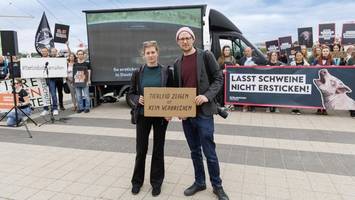 Videotruck an den Landungsbrücken zeigt panische Schweine: „Musste fast weinen“