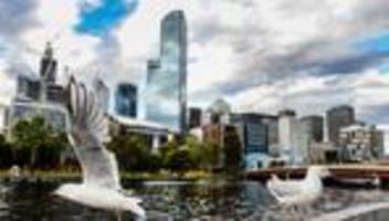 H5N1 in Down Under: Sorge um Australiens Tierwelt: Vogelgrippe breitet sich aus