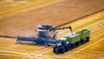 Landwirtschaft im Norden: Getreideernte in Schleswig-Holstein beginnt
