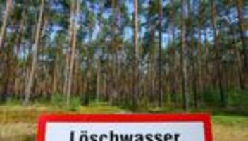Waldbrände: Brandenburg: Waldbrandgefahr gestiegen