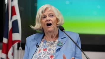 Ann Widdecombe: Mordermittlungen nach mysteriösem Tod von Brexit-Politikerin