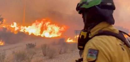 Spanien: Mindestens zwölf Tote bei Waldbrand in Andalusien