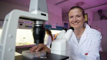 Organoide – Bausteine auf dem Weg zur Medizin von morgen