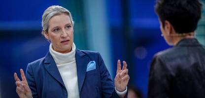 AfD und Medien: Warum kritische Berichte die Partei nicht schwächen - Meinung