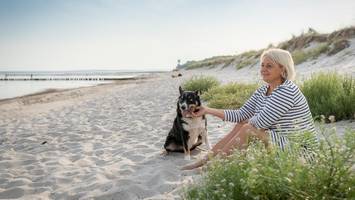 Toben, buddeln, baden an Nordsee und Ostsee: Das sind die schönsten Hundestrände