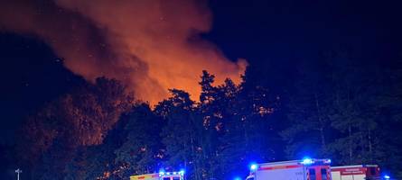 waldbrand in nürnberg sorgt für großeinsatz – campingplatz und konzert zeitweise evakuiert