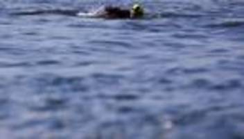 Ertrinken bei Hitzewellen: Rettungsschwimmer melden rund 100 Badetote im Juni