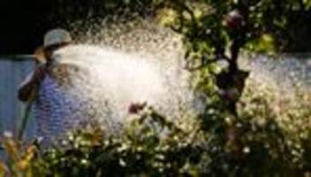 Klimawandel: Wasserknappheit: Verband für mehr Einschränkungen