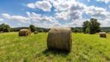 Landwirtschaft: Heuballenpresse brennt bei Ernte – 350.000 Euro Schaden