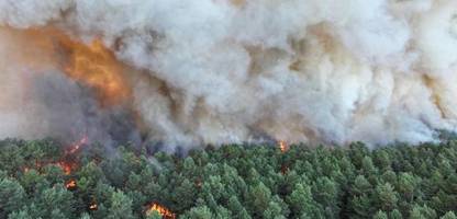Frankreich: Hitzewelle lässt Wald nahe Paris brennen und macht Herunterfahren von Atomreaktoren nötig