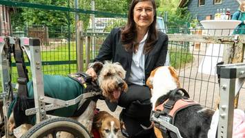 gnadenhof für rolli-hunde: bundesverdienstkreuz für die gründerin