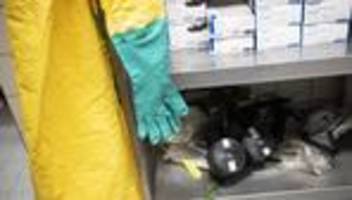 ebola-behandlung in deutschland: zweiter mit ebola infizierter us-bürger wird in deutschland behandelt