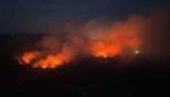 gemeinsam gegen die flammen: wie forst und feuerwehr waldbrände besser bekämpfen wollen