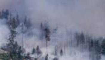 hohe brandgefahr: wie man sich bei einem waldbrand verhalten soll