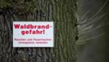 Vorsicht angesagt: Waldbrandgefahr in Sachsen-Anhalt nimmt wieder zu