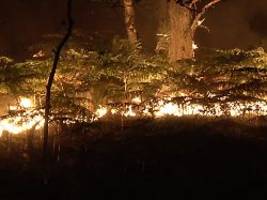 Autobahn teilweise gesperrt: Heftiges Feuer zerstört Hunderte Hektar im Wald von Fontainebleau