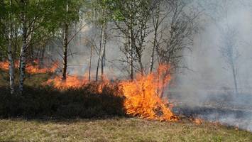 Waldbrand bei Jüterbog: Früheres Militärgelände steht in Flammen