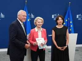 Internet: Soziale Medien: EU-Experten für Zugangsbeschränkung bis 13