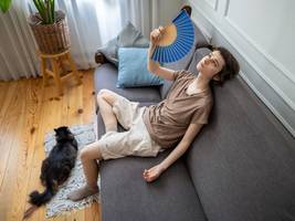 Hitze: Jetzt eine Klimaanlage anschaffen? Das sollte man beachten