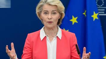 eu-experten fordern social-media-beschränkung für kinder bis 13 jahre
