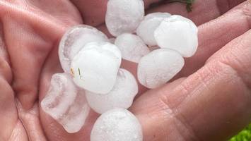 Unwetterwarnung: Hagelschauer im Alten Land – Schäden an Apfelernte befürchtet