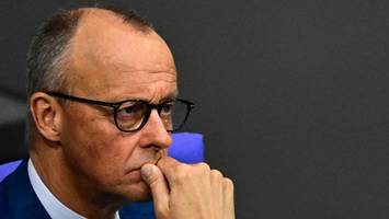 Versetzung in Gefahr: Das Zeugnis von Friedrich Merz