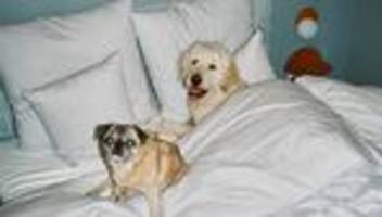 beziehung: kommst du ins bett, schatz?