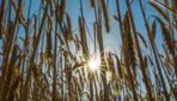 Wettervorhersage: Temperaturen knapp unter 30 Grad - wann Unwetter droht