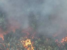 Sorge wegen Munition im Boden: Brand lodert im Müritz-Nationalpark