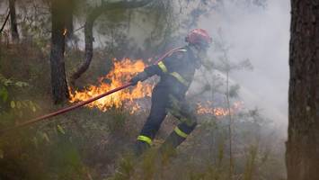 waldbrand bei paris sorgt für chaos – polizei verhaftet mutmaßliche brandstifter