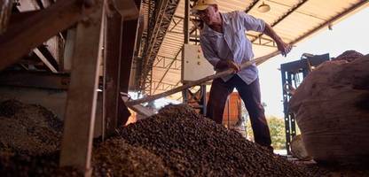 Stress durch El Niño – Brasiliens Kaffeeanbauer reduzieren Ernteprognose