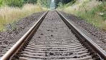 bauarbeiten an bahnstrecke: hessenforst und bahn stärken waldränder gegen klimawandel