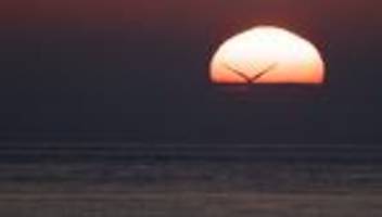 start-up planeteers: ab ins meer damit?