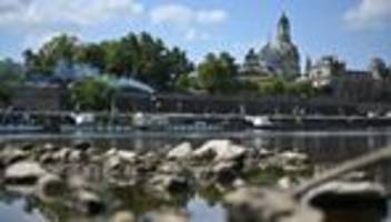 trockenheit: weiße flotte fährt nur noch auf einer linie in dresden