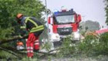 viele bäume umgestürzt: zahlreiche einsätze wegen unwetters in bodenseeregion