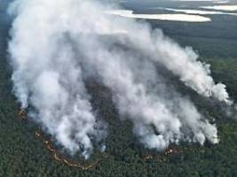 Auf munitionsbelastetem Terrain: Feuerwehr bekommt Brand im Müritz-Nationalpark nicht eingedämmt