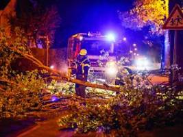 Menschen von Bäumen eingeklemmt: Unwetter sorgen für rund 1000 Feuerwehreinsätze bei Nürnberg