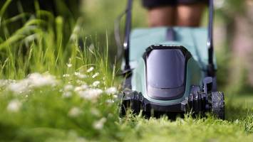 garten anlegen nach dem hausbau: es grünt so grün? von wegen!