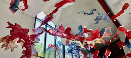 so bringt nnenna okore den regenwald ins textilmuseum augsburg