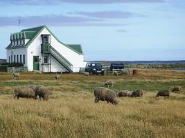 Aktuelles Lexikon: Was sind die Malvinas?