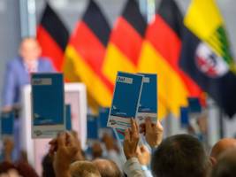 demokratie: die afd lockt erst mal mit streicheleinheiten
