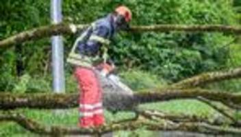 umgestürzte bäume: unwetter verschont baden-württemberg in der nacht weitgehend