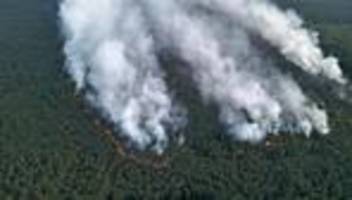 waldbrand im müritz-nationalpark: waldbrand in müritz-nationalpark laut umweltminister unter kontrolle
