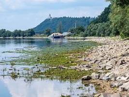 auch wirtschaft betroffen: umweltminister prophezeit ernsthafte konflikte um wasser in deutschland