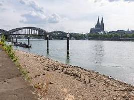 Firmen sollen mehr bezahlen: Städte und Gemeinden fordern stärkeren Anreiz zum Wassersparen